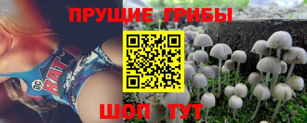 Псилоцибиновые грибы GOLDEN TEACHER Павловский Посад