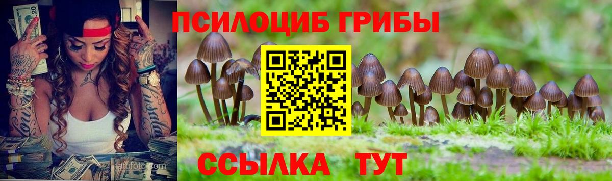 купить  цена  Галлюциногенные грибы мухоморы  Вход с VPN  Павловский Посад  Псилоцибиновые грибы Psilocybine cubensis 